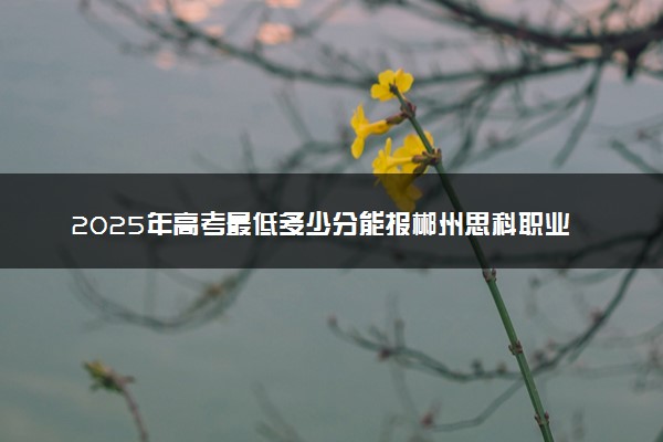 2025年高考最低多少分能报郴州思科职业学院？附郴州思科职业学院历年录取分数线及位次