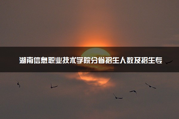 湖南信息职业技术学院分省招生人数及招生专业2025年招生计划参考