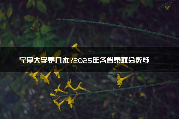 宁夏大学是几本？2025年各省录取分数线预测及报考建议