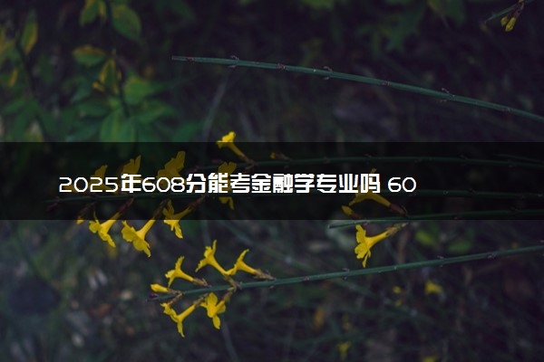 2025年608分能考金融学专业吗 608分金融学专业大学推荐
