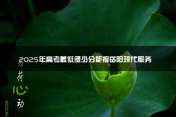 2025年高考最低多少分能报岳阳现代服务职业学院？附岳阳现代服务职业学院历年录取分数线及位次
