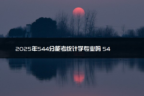 2025年544分能考统计学专业吗 544分统计学专业大学推荐