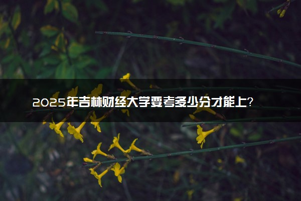 2025年吉林财经大学要考多少分才能上？历年录取分数线及报考指南（含预测）