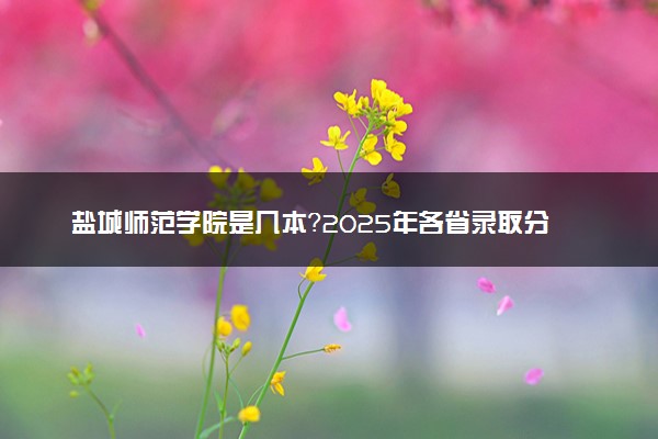 盐城师范学院是几本？2025年各省录取分数线预测及报考建议