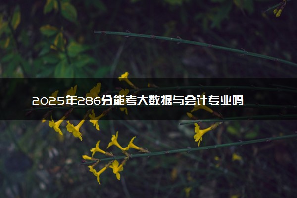 2025年286分能考大数据与会计专业吗 286分大数据与会计专业大学推荐