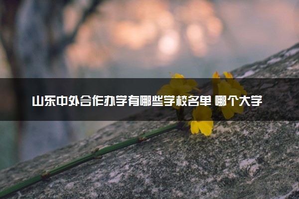 山东中外合作办学有哪些学校名单 哪个大学最好