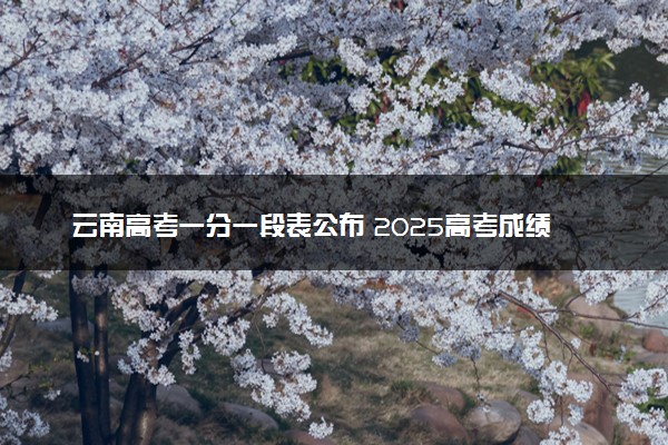 云南高考一分一段表公布 2025高考成绩位次排名查询