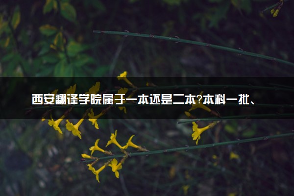 西安翻译学院属于一本还是二本？本科一批、二批的区别及报考建议