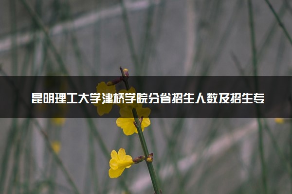 昆明理工大学津桥学院分省招生人数及招生专业2025年招生计划参考