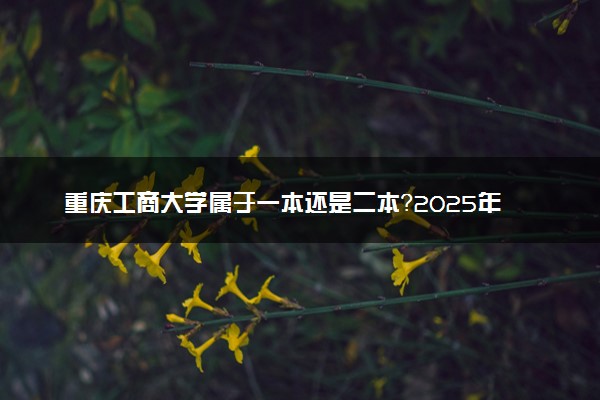 重庆工商大学属于一本还是二本？2025年报考建议及分数线预测