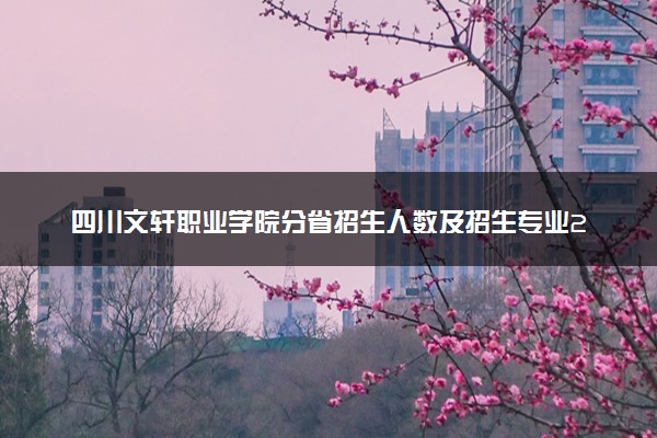 四川文轩职业学院分省招生人数及招生专业2025年招生计划参考