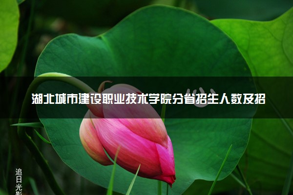 湖北城市建设职业技术学院分省招生人数及招生专业2025年招生计划参考