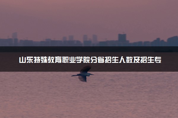 山东特殊教育职业学院分省招生人数及招生专业2025年招生计划参考