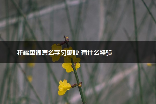 托福单词怎么学习更快 有什么经验