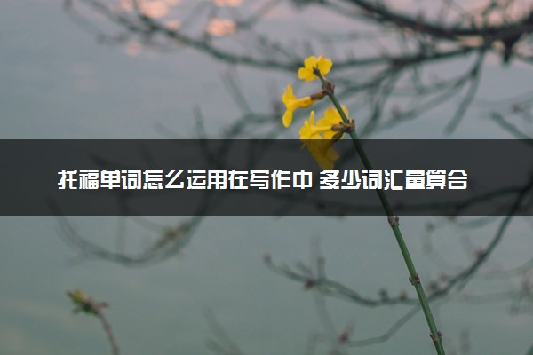 托福单词怎么运用在写作中 多少词汇量算合格