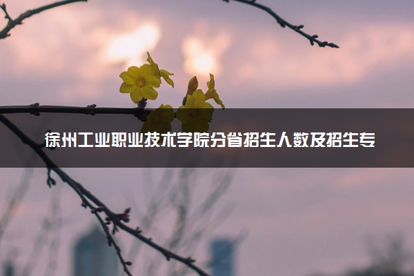 徐州工业职业技术学院分省招生人数及招生专业2025年招生计划参考