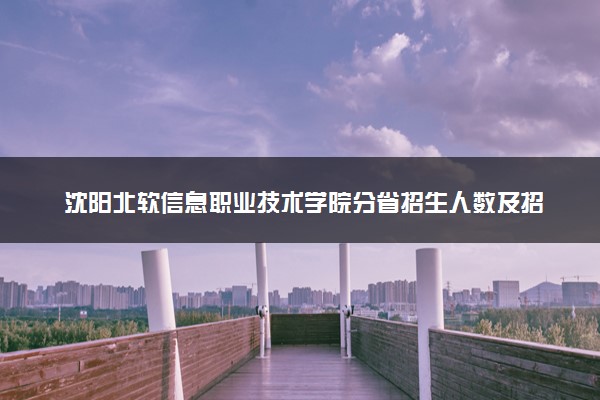沈阳北软信息职业技术学院分省招生人数及招生专业2025年招生计划参考