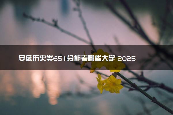 安徽历史类651分能考哪些大学 2025考生稳上的大学名单