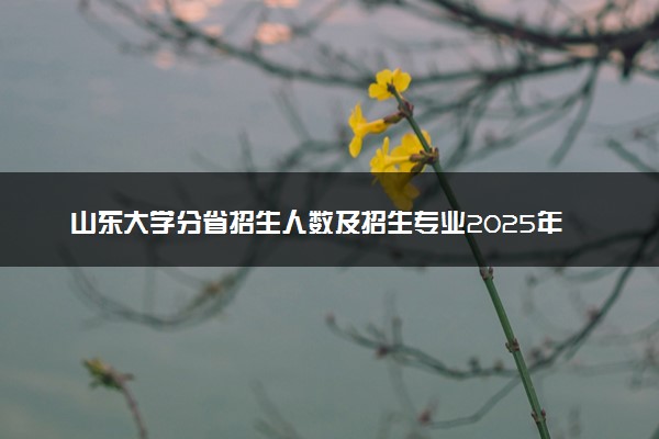 山东大学分省招生人数及招生专业2025年招生计划参考