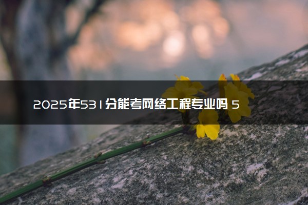 2025年531分能考网络工程专业吗 531分网络工程专业大学推荐