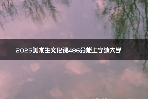 2025美术生文化课486分能上宁波大学吗