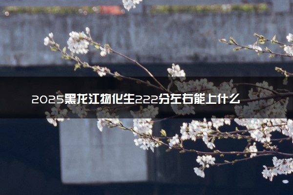 2025黑龙江物化生222分左右能上什么大学 可以报考的院校名单