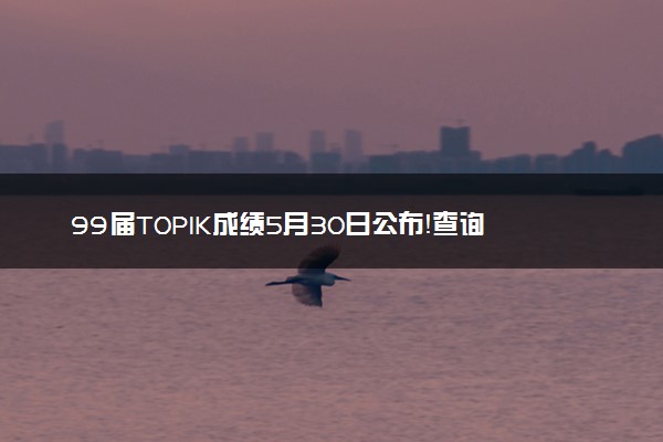 99届TOPIK成绩5月30日公布！查询攻略来袭