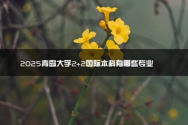 2025青岛大学2+2国际本科有哪些专业 学费多少钱
