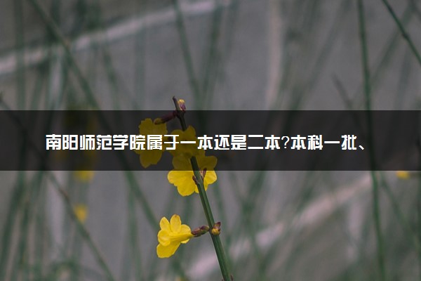 南阳师范学院属于一本还是二本？本科一批、二批的区别及报考建议