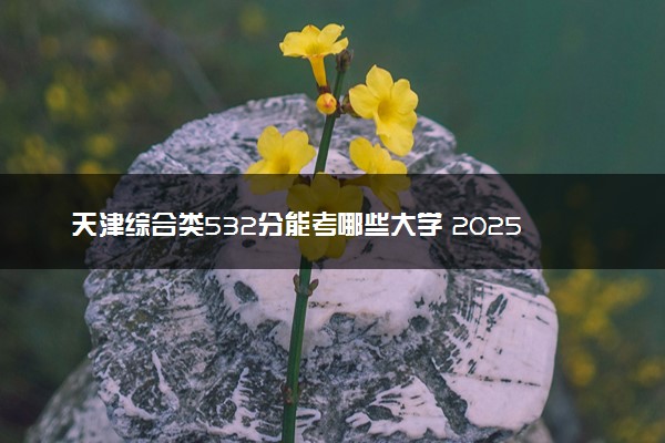 天津综合类532分能考哪些大学 2025考生稳上的大学名单
