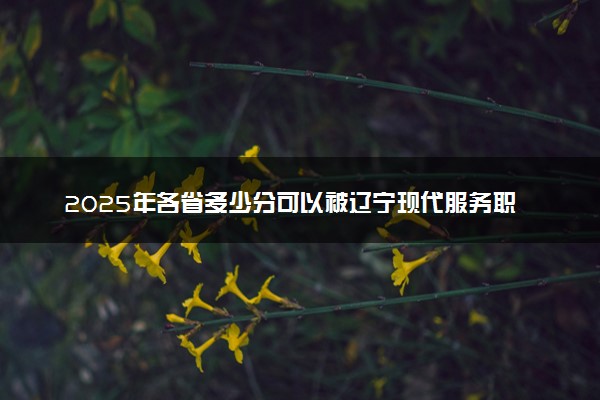 2025年各省多少分可以被辽宁现代服务职业技术学院录取？历年录取分数线
