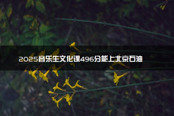 2025音乐生文化课496分能上北京石油化工学院吗