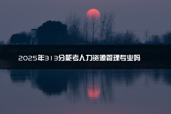 2025年313分能考人力资源管理专业吗 313分人力资源管理专业大学推荐