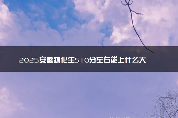 2025安徽物化生510分左右能上什么大学 可以报考的院校名单