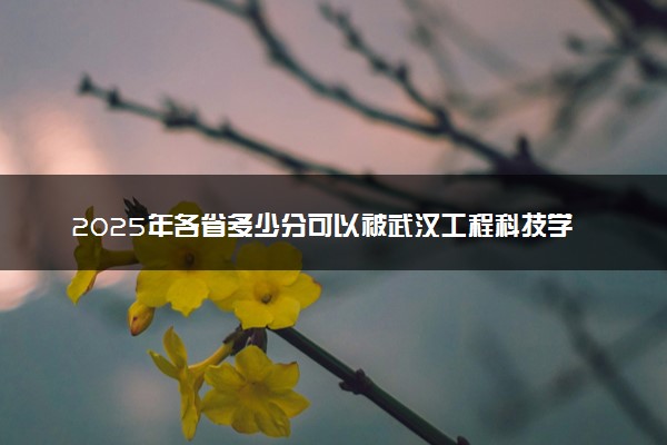 2025年各省多少分可以被武汉工程科技学院录取？历年录取分数线