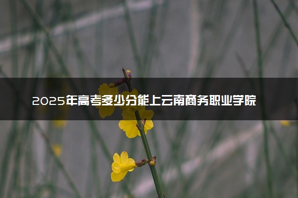 2025年高考多少分能上云南商务职业学院？预测各省份录取分数线（附2024年数据及报考指南）