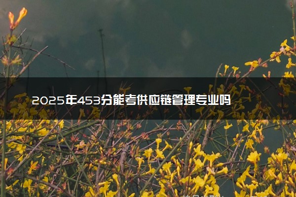 2025年453分能考供应链管理专业吗 453分供应链管理专业大学推荐