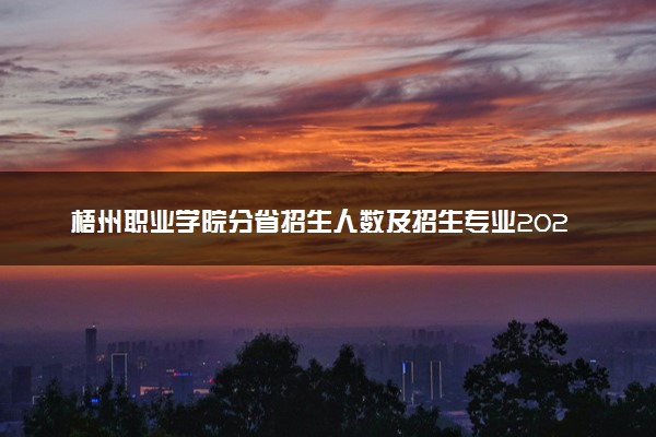 梧州职业学院分省招生人数及招生专业2025年招生计划参考