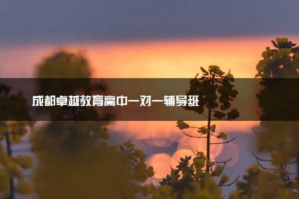 成都卓越教育高中一对一辅导班