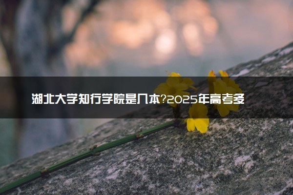 湖北大学知行学院是几本？2025年高考多少分能上及报考建议