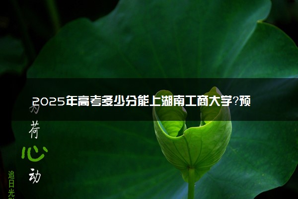 2025年高考多少分能上湖南工商大学？预测各省份录取分数线（附2024年数据及报考指南）