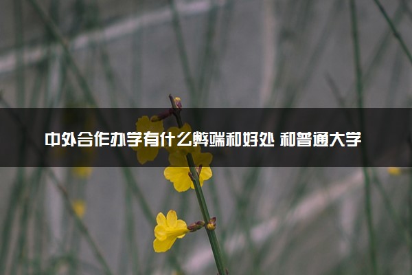 中外合作办学有什么弊端和好处 和普通大学的区别是什么