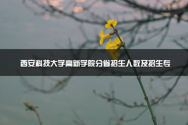 西安科技大学高新学院分省招生人数及招生专业2025年招生计划参考