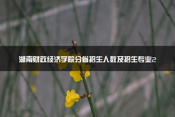 湖南财政经济学院分省招生人数及招生专业2025年招生计划参考