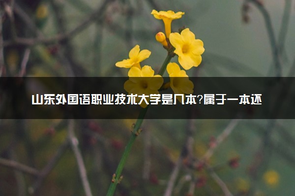 山东外国语职业技术大学是几本？属于一本还是二本？2025年分数线预测及报考建议