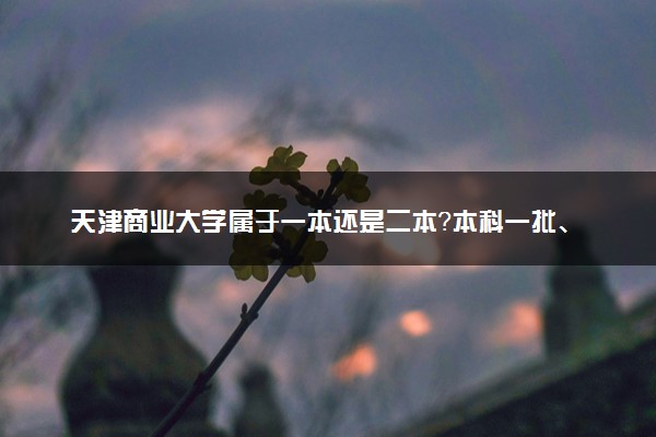 天津商业大学属于一本还是二本？本科一批、二批的区别及报考建议