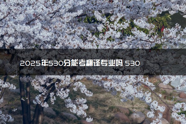 2025年530分能考翻译专业吗 530分翻译专业大学推荐