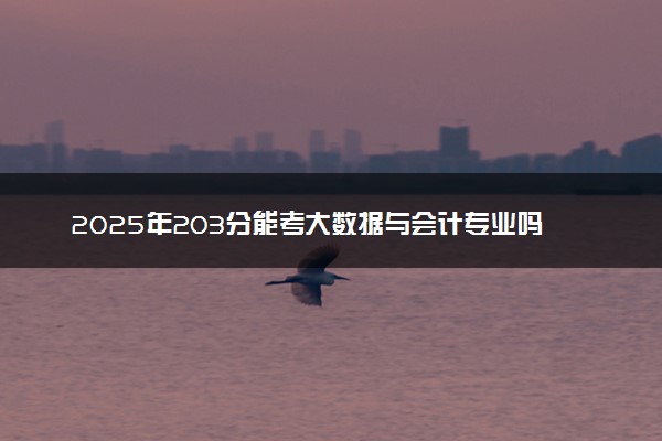 2025年203分能考大数据与会计专业吗 203分大数据与会计专业大学推荐