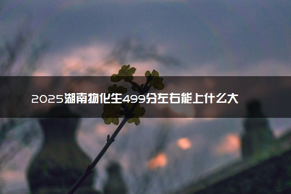 2025湖南物化生499分左右能上什么大学 可以报考的院校名单