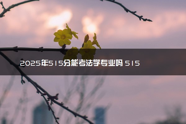 2025年515分能考法学专业吗 515分法学专业大学推荐